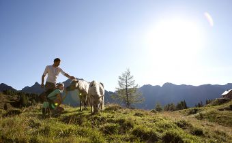 Pferde_Almwiese_SalzburgerLand.jpg