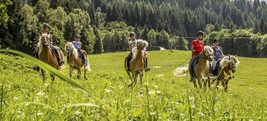 Reitbauernhof Angermann Reitbauernhof Angermann